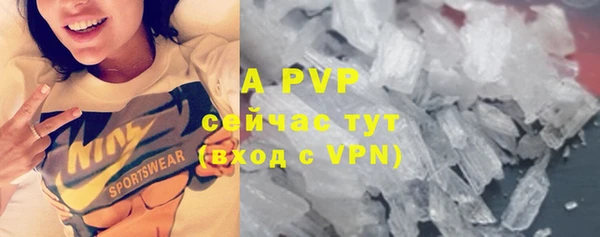 круглые Абаза