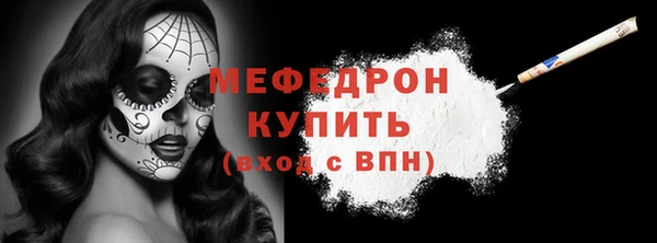 шишки Няндома