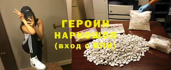 шишки Няндома