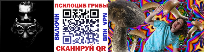 Псилоцибиновые грибы Psilocybe  Алдан 